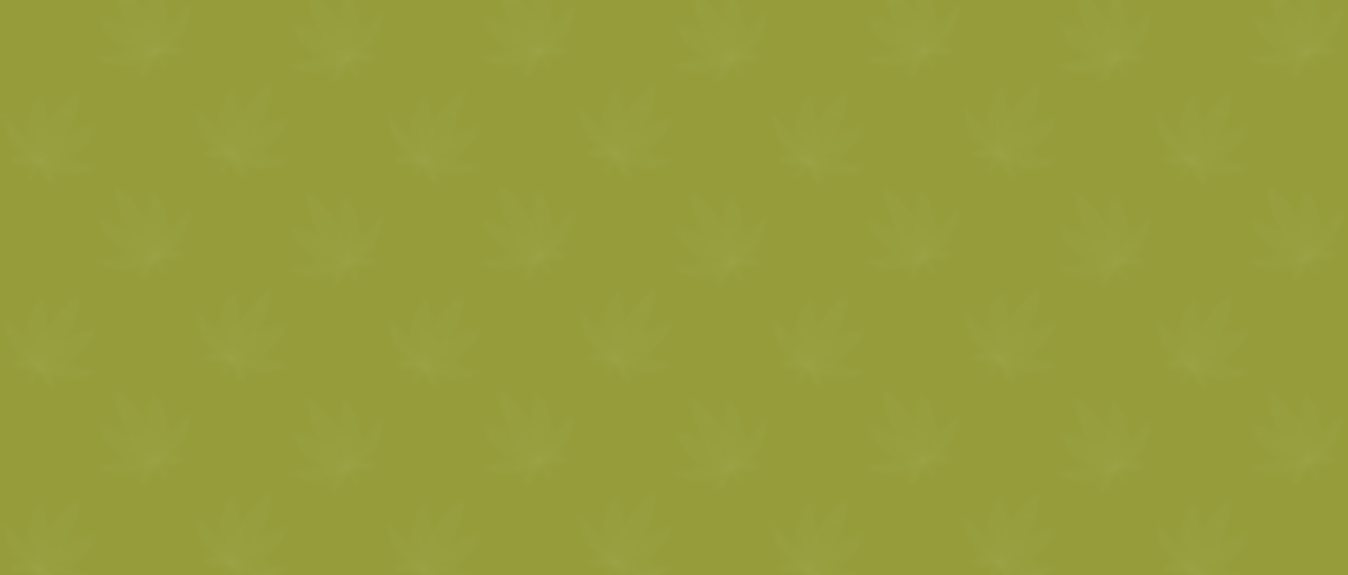 whempsecondrowbg - Cutiswiss